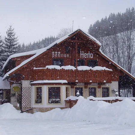 Pension Herta Pensjonat 3*